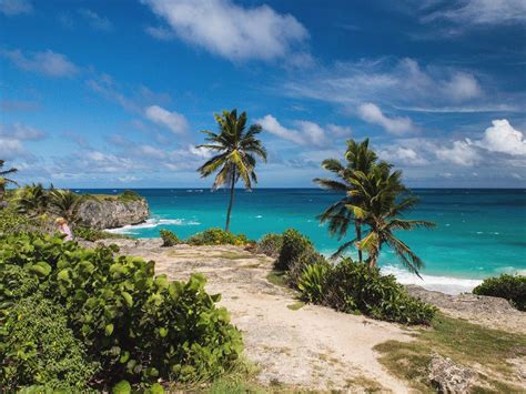 trip advisor barbados|is barbados worth visiting.